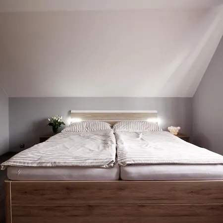Samostatny Luxusni Dum Villa